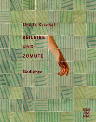 Cover des Buchs Ursula Krechel: Beileibe und Zumute