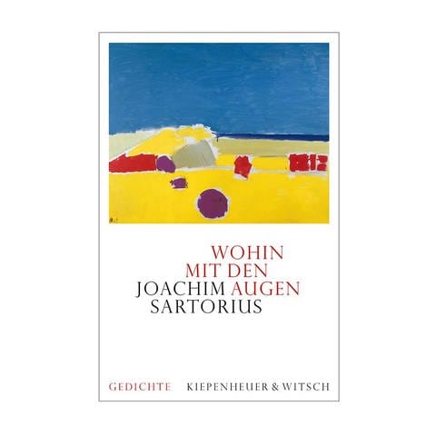 Cover des Buches Joachim Sartorius: Wohin mit den Augen (Foto: Pressestelle, Kiepenheuer & Witsch Verlag)