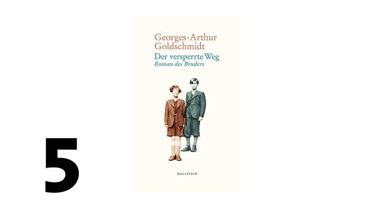 Cover des Buches Georges-Arthur Goldschmidt: Der versperrte Weg. Roman des Bruders (Foto: Pressestelle, Wallstein Verlag)