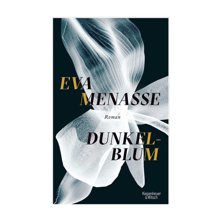 Cover des Buches Eva Menasse: Dunkelblum (Foto: Pressestelle, Kiepenheuer & Witsch Verlag)