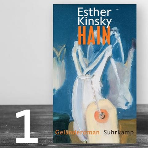 Buchcover: Esther Kinsky: Hain (Foto: SWR, Suhrkamp Verlag -)