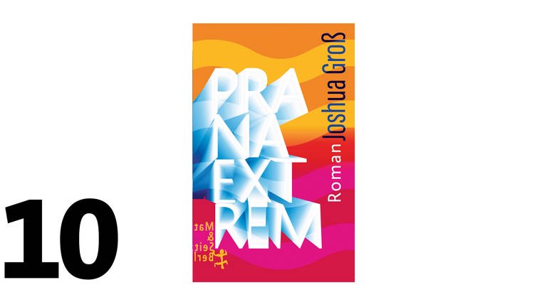 Cover des Buches Joshua Groß: Prana Extrem (Foto: Pressestelle, Matthes & Seitz Berlin Verlag)