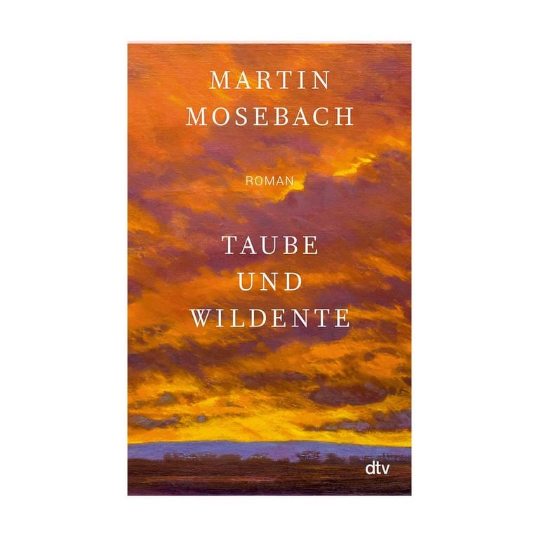 Cover des Buches Martin Mosebach: Taube und Wildente (Foto: Pressestelle, dtv)