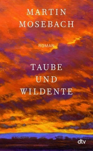 Cover des Buches Martin Mosebach: Taube und Wildente (Foto: Pressestelle, dtv)
