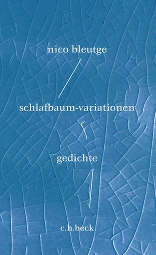 Cover des Buches Nico Bleutge: schlafbaum-variationen (Foto: Pressestelle, Verlag C.H. Beck)