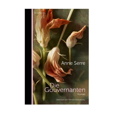 Cover des Buches Anne Serre: Die Gouvernanten