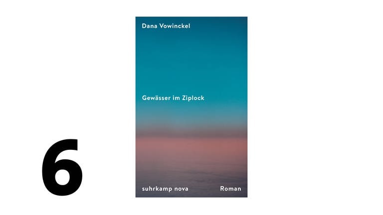 Cover des Buches Dana Vowinckel: Gewässer im Ziplock