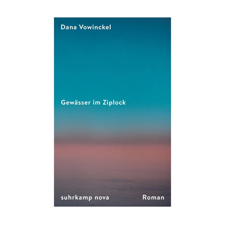 Cover des Buches Dana Vowinckel: Gewässer im Ziplock (Foto: Pressestelle, Verlag: Suhrkamp)