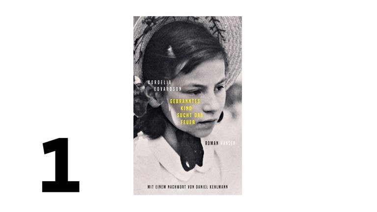 Cover des Buches Cordelia Edvardson: Gebranntes Kind sucht das Feuer (Foto: Pressestelle, Verlag: Hanser)