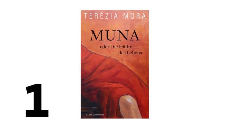 Cover des Buches Terézia Mora: Muna oder Die Hälfte des Lebens (Foto: Pressestelle, Verlag: Luchterhand)
