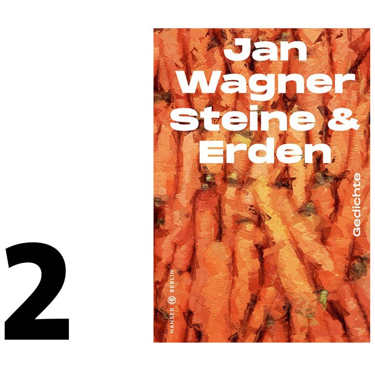 Cover des Buches Steine & Erden von Jan Wagner (Foto: Pressestelle, Hanser Berlin Verlag)