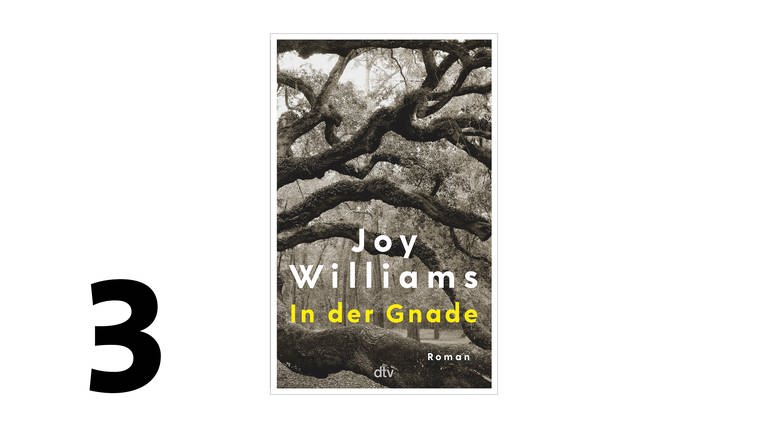 Cover des Buches "In der Gnade" von Joy Williams