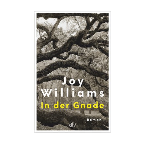 Cover des Buches "In der Gnade" von Joy Williams
