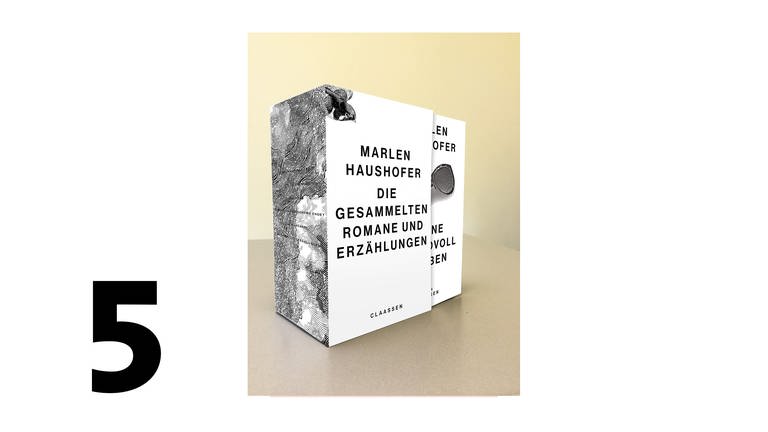 Cover des Buches Marlen Haushofer: Die gesammelten Romane und Erzählungen (Foto: Pressestelle, Verlag: Claassen)