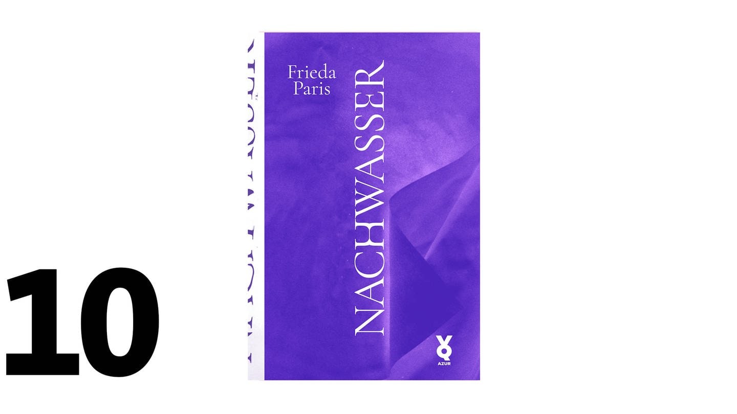 Cover des Buches Frieda Paris: Nachwasser (Foto: Pressestelle, Verlag: Edition Azur)