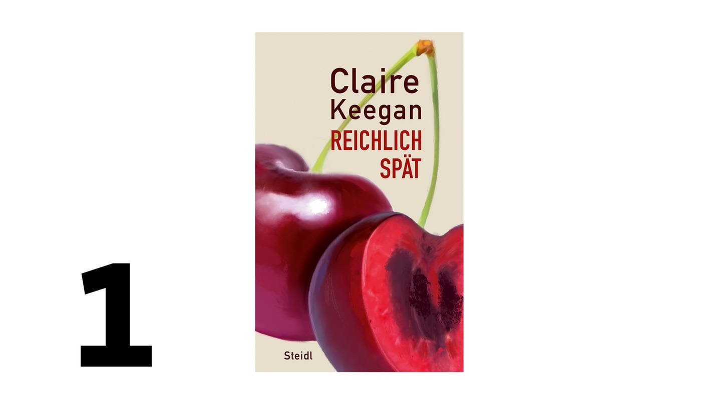 Cover des Buches Claire Keegan: Reichlich spät (Foto: Pressestelle, Verlag: Steidl)
