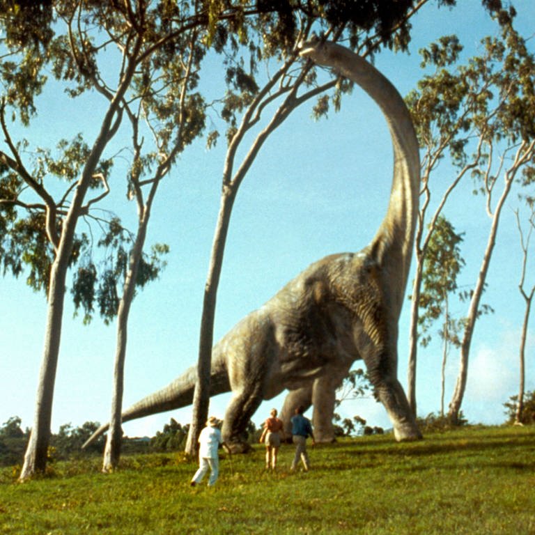 Ein Filmstill aus "Jurassic Park" mit einem Langhals-Dinosaurier (Foto: IMAGO, IMAGO / Everett Collection / Universal)