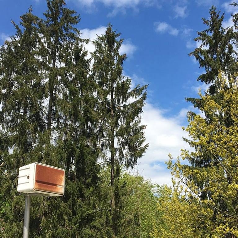 Lautsprecher im Schwarzwald