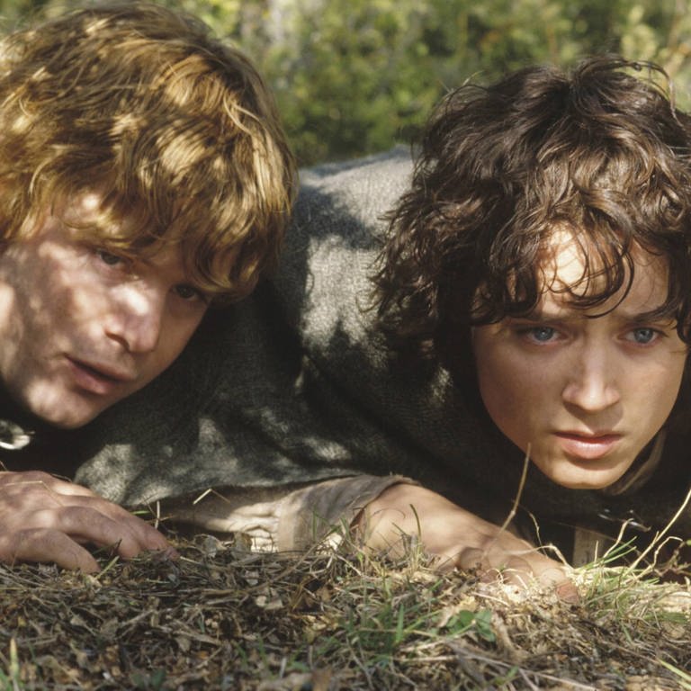 Frodo und Sam im Film "Der Herr der Ringe: Die zwei Türme"