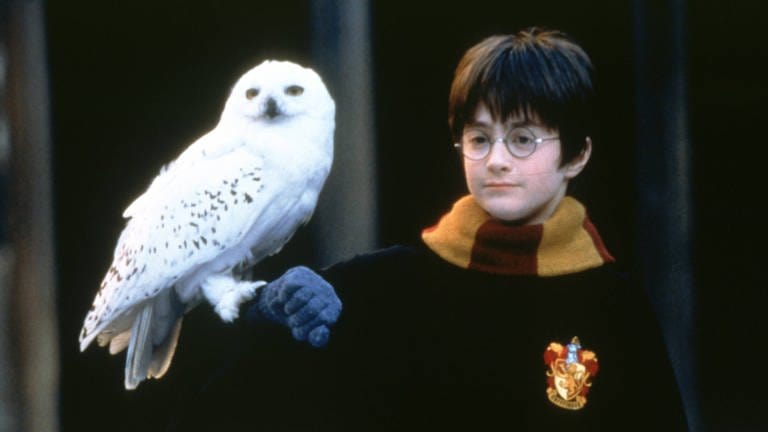 Ein Filmstill aus "Harry Potter und der Stein der Weisen" (2001): Harry Potter und seine Eule Hedwig