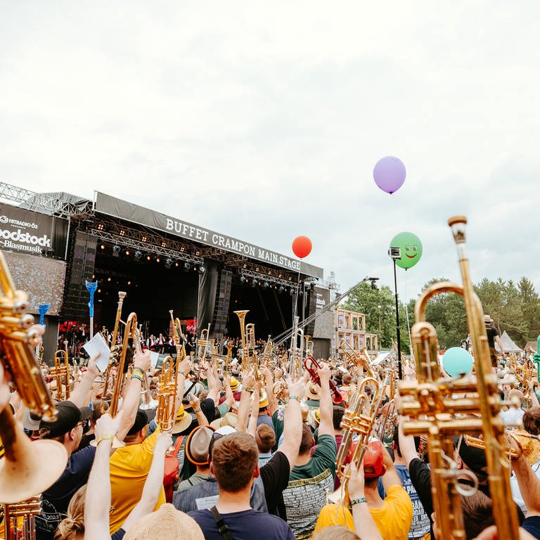 Woodstock der Blasmusik (Foto: Julian Quirchmayr)