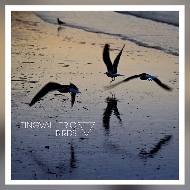 Tingvall Trio: Birds. Label: Skip Records