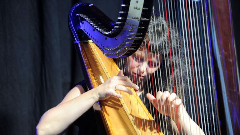 Harfenistin Kathrin Pechlof (Foto: IMAGO, IMAGO / Sven Thielmann)