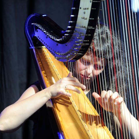 Harfenistin Kathrin Pechlof (Foto: IMAGO, IMAGO / Sven Thielmann)