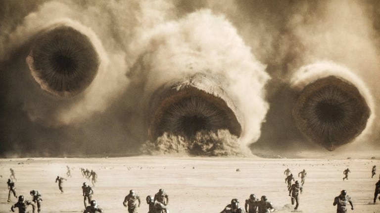 Ein Filmstill aus "Dune: Part Two" (2024) (Foto: IMAGO, Warner Bros., Courtesy Everett Collection Y)