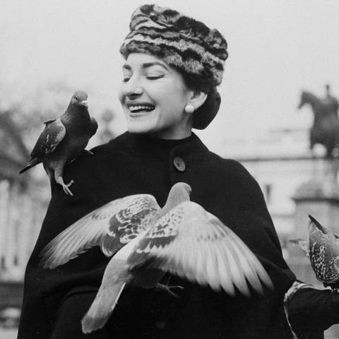Maria Callas mit Tauben auf ihren Armen und auf der Schulter  (Foto: picture-alliance / Reportdienste, picture alliance / ASSOCIATED PRESS | Uncredited)