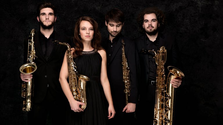 Das Arcis Saxophon Quartett (Foto: Mainzer Musiksommer / Harald Hoffmann)
