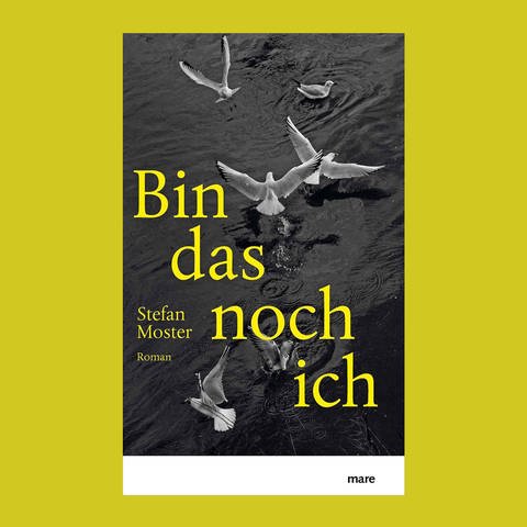 Buch-Cover: Stefan Moster: Bin das noch ich