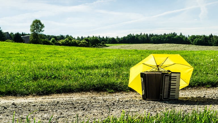 Ein Akkordeon in der Natur, vor der Sonne geschützt mit einem gelben Schirm (Foto: IMAGO, IMAGO / Zoonar)
