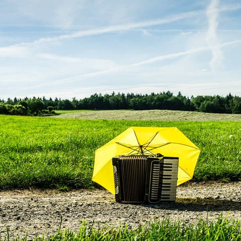 Ein Akkordeon in der Natur, vor der Sonne geschützt mit einem gelben Schirm