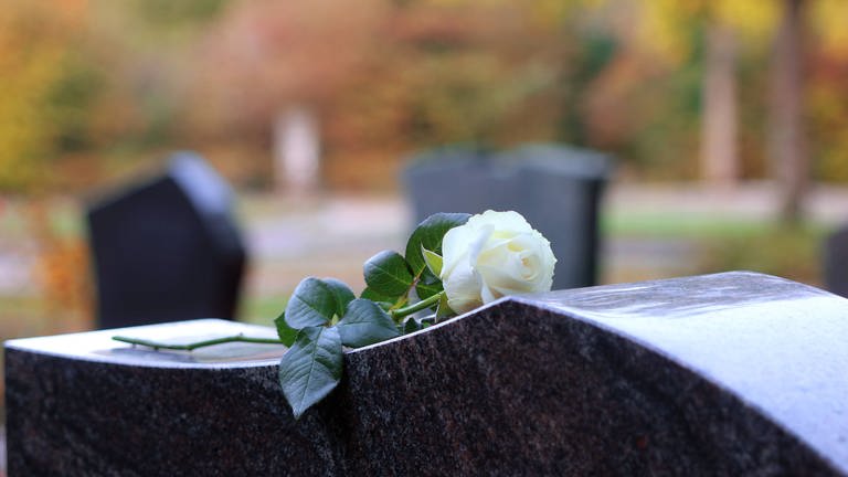 Weiße Rose auf einem Grabstein. Weitere Grabsteine unscharf im Hintergrund zu sehen