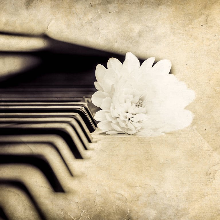 Nahaufnahme von Klaviertasten, weiß Blüte liegt auf ihnen (Foto: IMAGO, 0096734049)