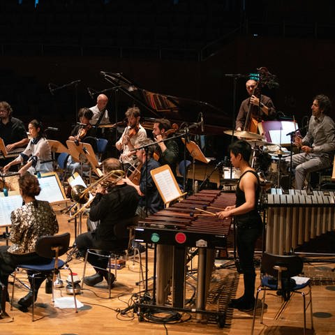 Das Trickster Orchestra (Foto: Trickster Orchestra, Susanne Diesner)