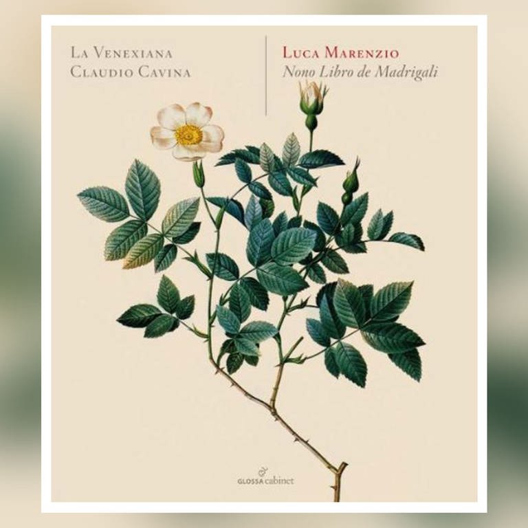 CD-Cover: Luca Marenzio: Nono Libro de Madrigale (Foto: Pressestelle, Glossa)
