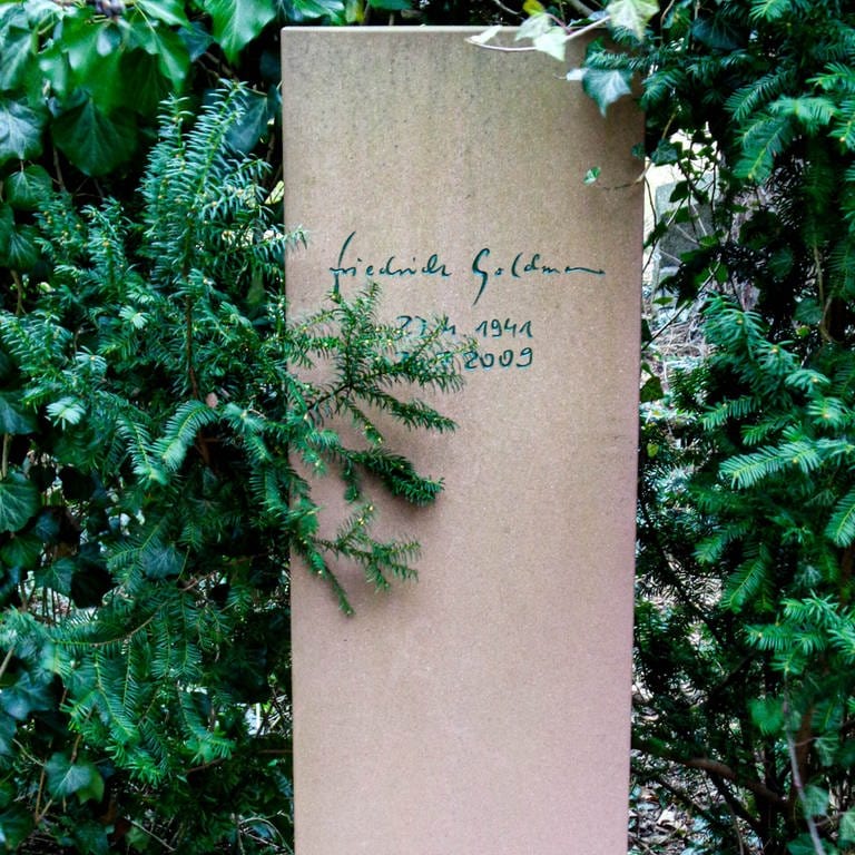 Grab von Friedrich Goldmann