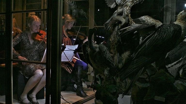 Zwei Violinistinnen sitzen in einem Glaskasten (Foto: SWR, Astrid Karger)