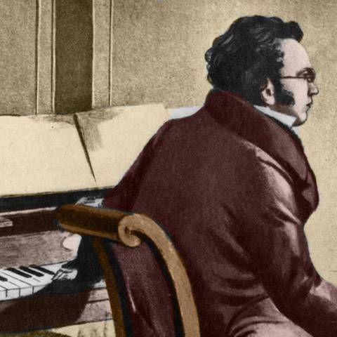 Portrait des österreichischen Komponisten Franz Schubert, 1797-1828 (Foto: IMAGO, Imago/Leemage -)
