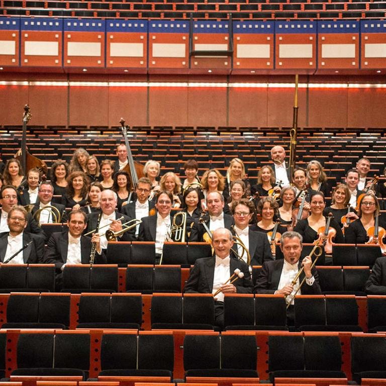 Das Karlsruher Barockorchester (Foto: Pressestelle, Jörg Höger -)