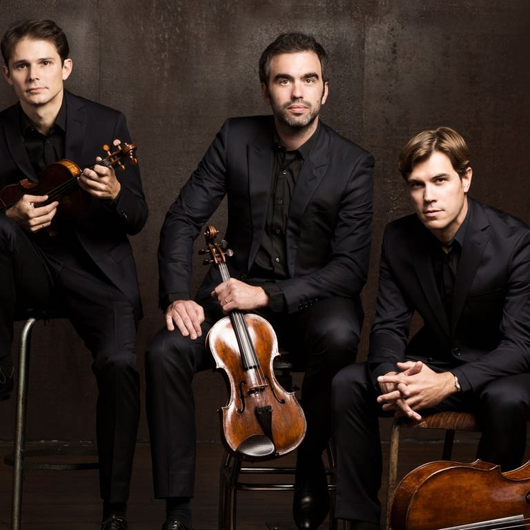 Das Modigliani Quartett (v. l. Amaury Coeytaux - Violine, Loïc Rio - Violine, Laurent Marfaing - Viola, François Kieffer - Violoncello)