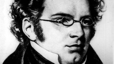 Der Komponist Franz Schubert (Foto: picture-alliance / dpa, picture-alliance / dpa -)