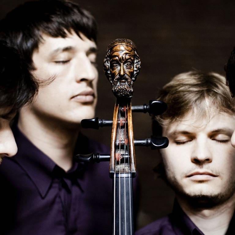 Apollon Musagète Quartett (Foto: (Pressestelle) - http://www.harrisonparrott.com/)