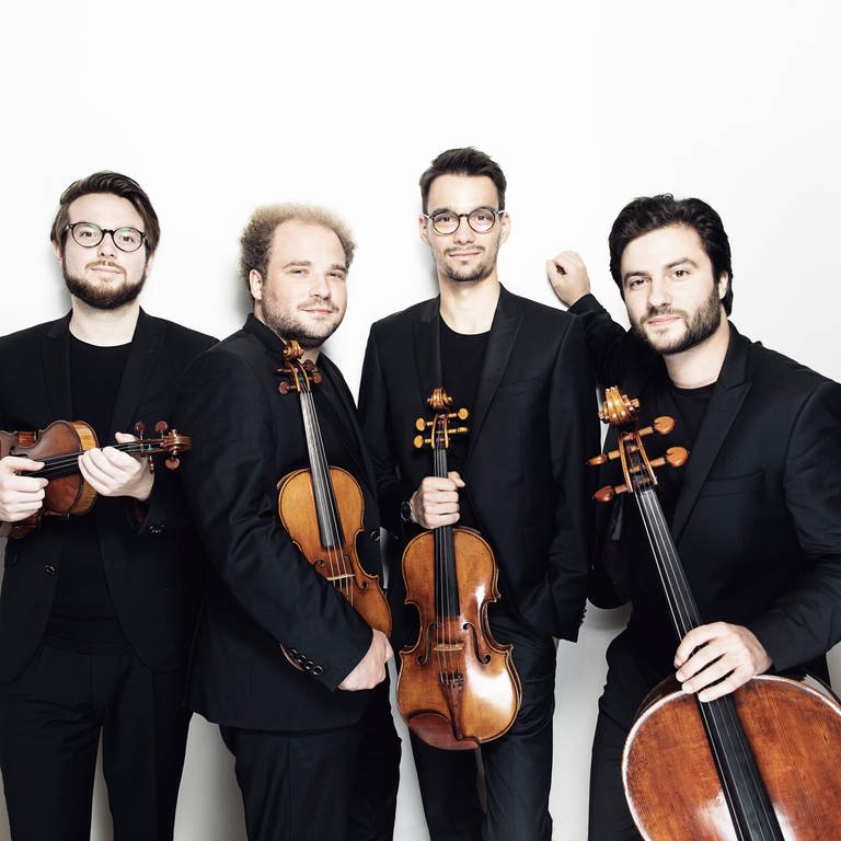 Goldmund Quartett (Foto: Nikolaj Lund)