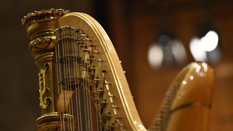 Harfe (Foto: wpsteinheisser)
