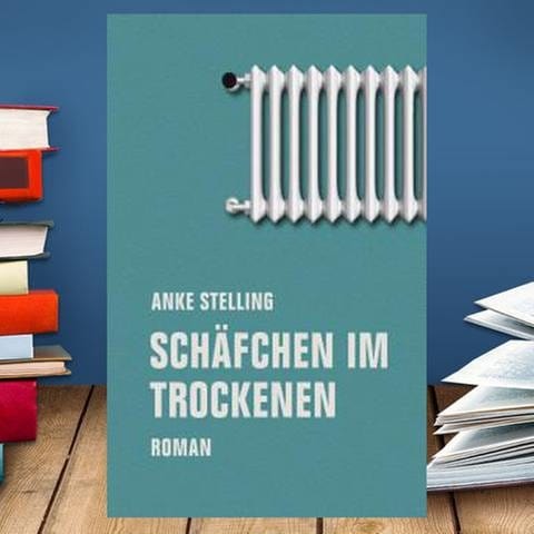 Buchcover:  Anke Stelling: Schäfchen im Trockenen (Foto: Pressestelle, www.verbrecherverlag.de -)