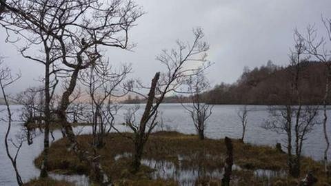 Vorfrühlingsmorgen am Loch Arkaig. (Foto: SWR, Thomas Kruchem -)