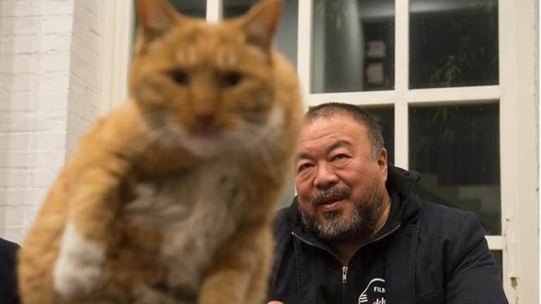 Der chinesische Kuenstler Ai Weiwei und seine Katze mit dem Namen "Tiantian", aufgenommen am 23.11.2014 in Peking (China) in seinem Studio. (Foto: picture-alliance / dpa, picture-alliance / dpa - Foto: Peter Kneffel)